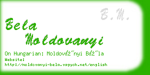 bela moldovanyi business card